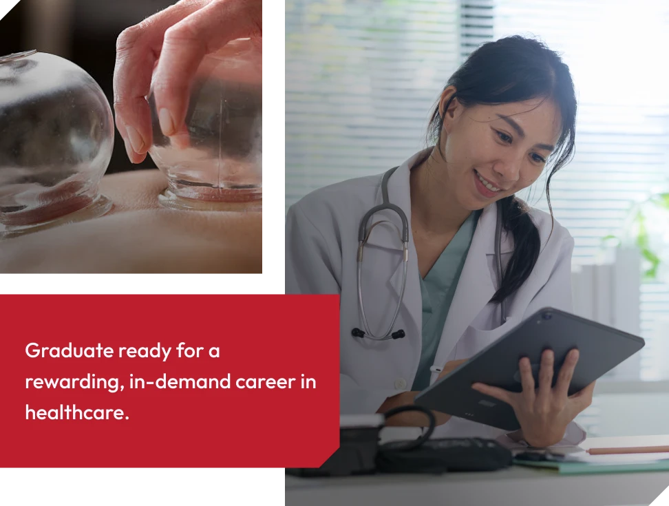 Doctor of Traditional Chinese Medicine career paths
