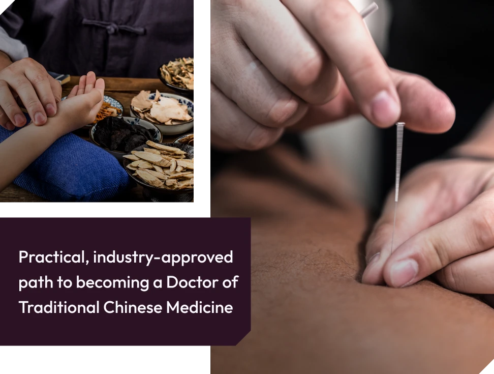 Doctor of Traditional Chinese Medicine program