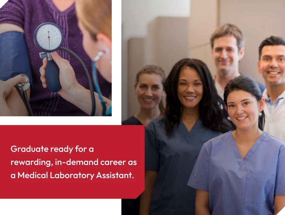 Medical Laboratory Assistant career paths