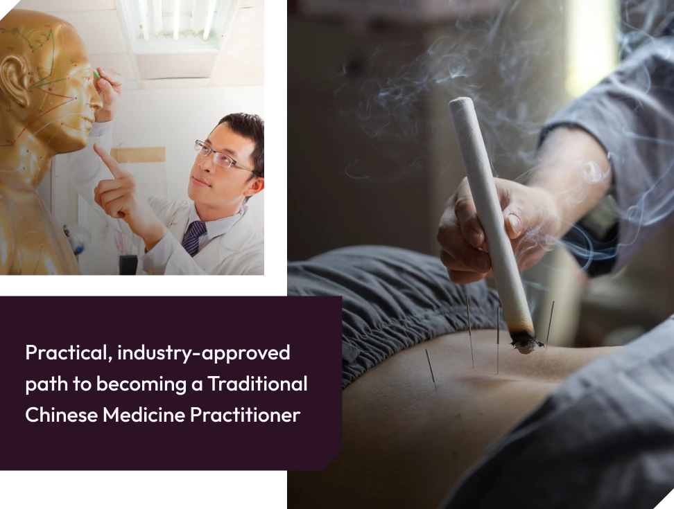 Traditional Chinese Medicine Practitioner program